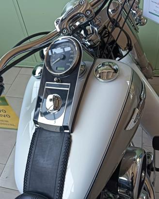 Harley-davidson Deluxe custom