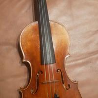 Violino