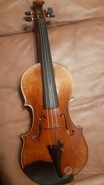 Violino