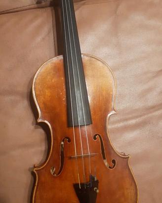 Violino