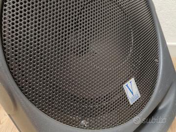 Altoparlanti Sica 12" + case + biamplificazione