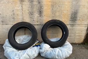 Pneumatici Sava Perfecta