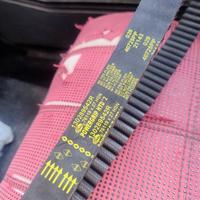 Cinta distribuzione dacia Duster