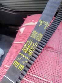 Cinta distribuzione dacia Duster