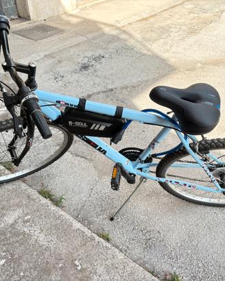 Bicicletta
