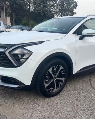 Kia Sportage 1.6 CRDI 136 CV 2WD Mild Hybrid Busin