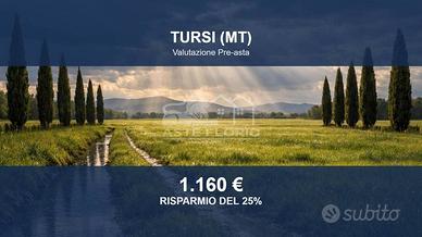Immobile in asta di 7214 m² a Tursi