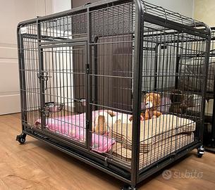 Kennel Cuccia Gabbia per Cani - Pawhut