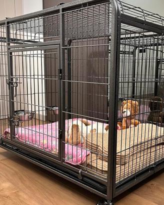 Kennel Cuccia Gabbia per Cani - Pawhut