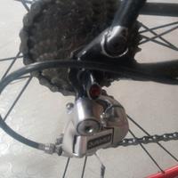 Colnago C40 bici in carbonio