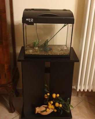 Acquario 24L