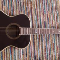 Chitarra acustica eko NXT A100