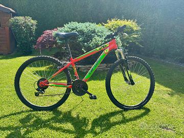 Bicicletta ragazzo 8-12 anni