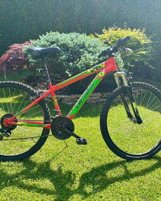 Bicicletta ragazzo 8-12 anni