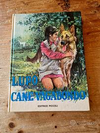 Libro vintage per ragazzi