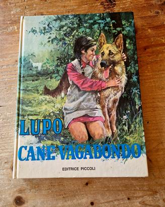 Libro vintage per ragazzi