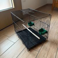 Gabbia per uccellini