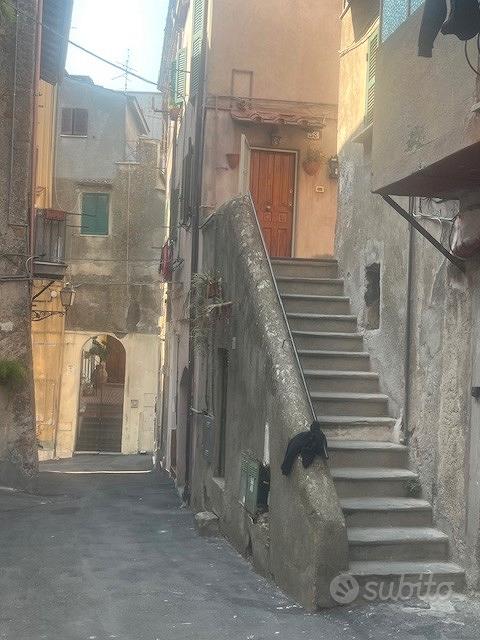 Appartamento – Zagarolo, Borgo San Martino - Vista 3