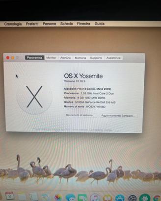 MacBook Pro 2009