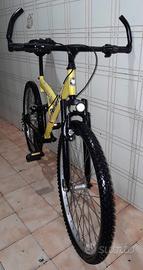 Bici Super Trinity.
Doppio Ammortizzatore 