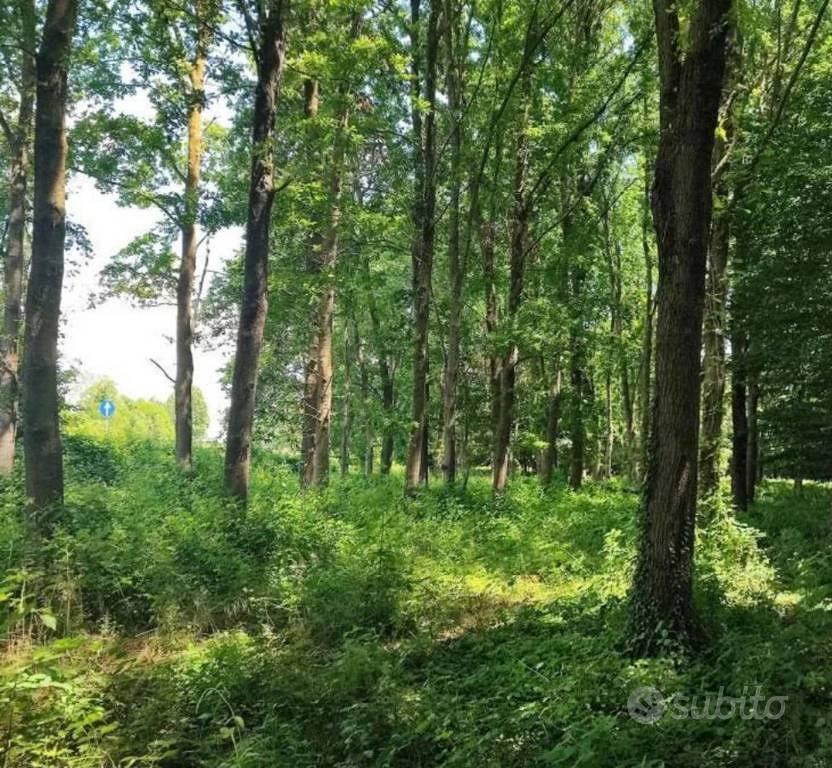 Immobile in asta di 34378 m² a Treviso - Vista 3