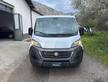 FIAT Ducato 290 Panorama 30 2020 panorama 30 ...