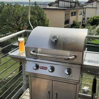 Bull steer BBQ barbeque