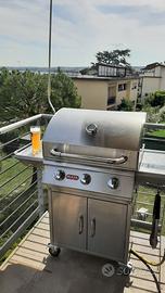 Bull steer BBQ barbeque