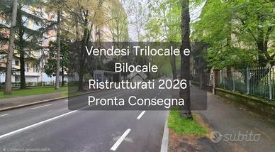 3 LOCALI A REGGIO NELL'EMILIA