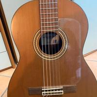 CHITARRA FLAMENCO la mancha