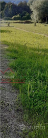 Terreno a capezzano pianore