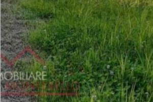 Terreno a capezzano pianore