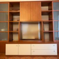 LIBRERIA MOBILE TV