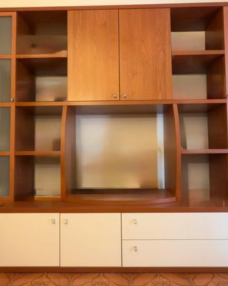 LIBRERIA MOBILE TV