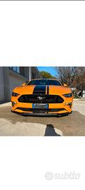 mustang