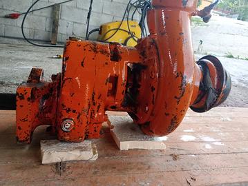 Pompa irrigazione caprari