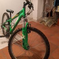 Mountain Bike ammortizzata 24 bambino