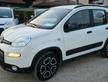 Fiat Panda 0.9 TwinAir Natural Power - 2021