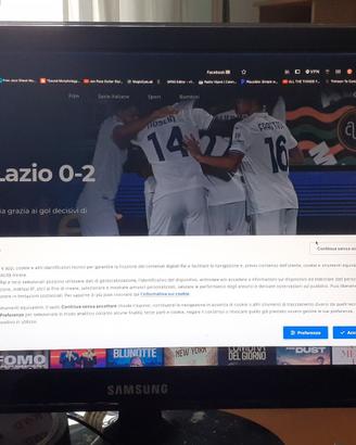Samsung 2250 sync master 