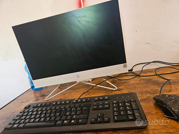 Computer HP All In One Con dMouse e Tastiera