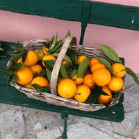 baratto  frutta non trattata, agrumi vari