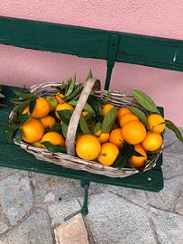 baratto  frutta non trattata, agrumi vari