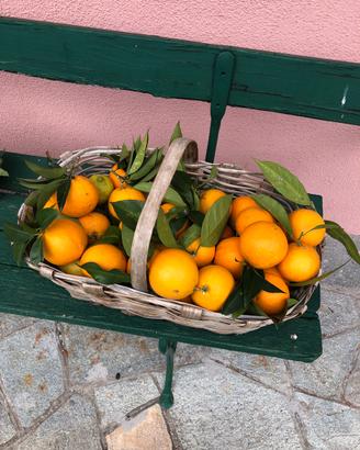 baratto  frutta non trattata, agrumi vari