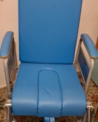 sedia a rotelle 