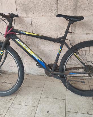 bicicletta 