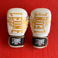 Guantoni Leone Warrior 10 oz bianchi – usati