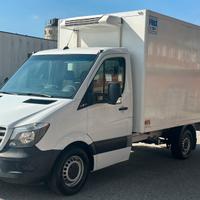 Mercedes Sprinter FRIGO 2016
