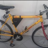 bicicletta 26