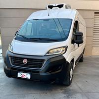 Fiat Ducato Furgone Frigo Congelatore