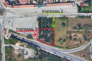 Terreno agricolo 1600 mq con uliveto - Caserta